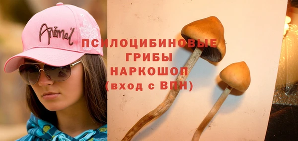 Альфа ПВП Новодвинск