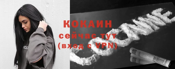 мет Новозыбков